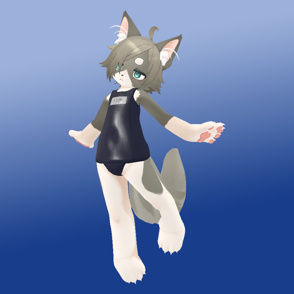 スクール水着(旧式)【リオくん用】