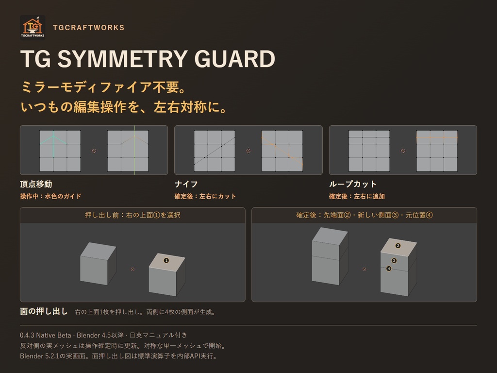 TG_SYMMETRY_GUARD