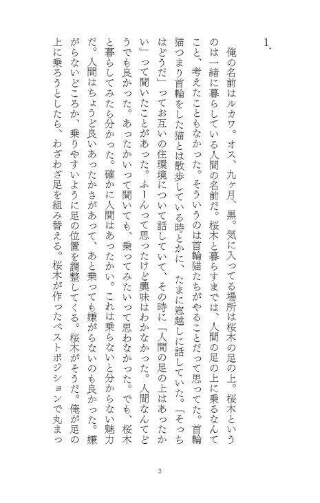 ヘンリーのポケット