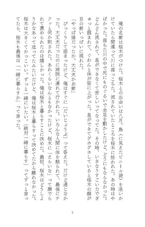 ヘンリーのポケット