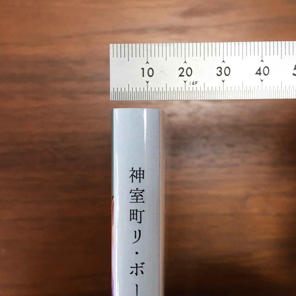 神室町リ・ボーン