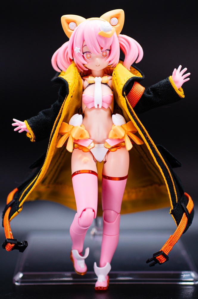 【1月予約】ストームコート