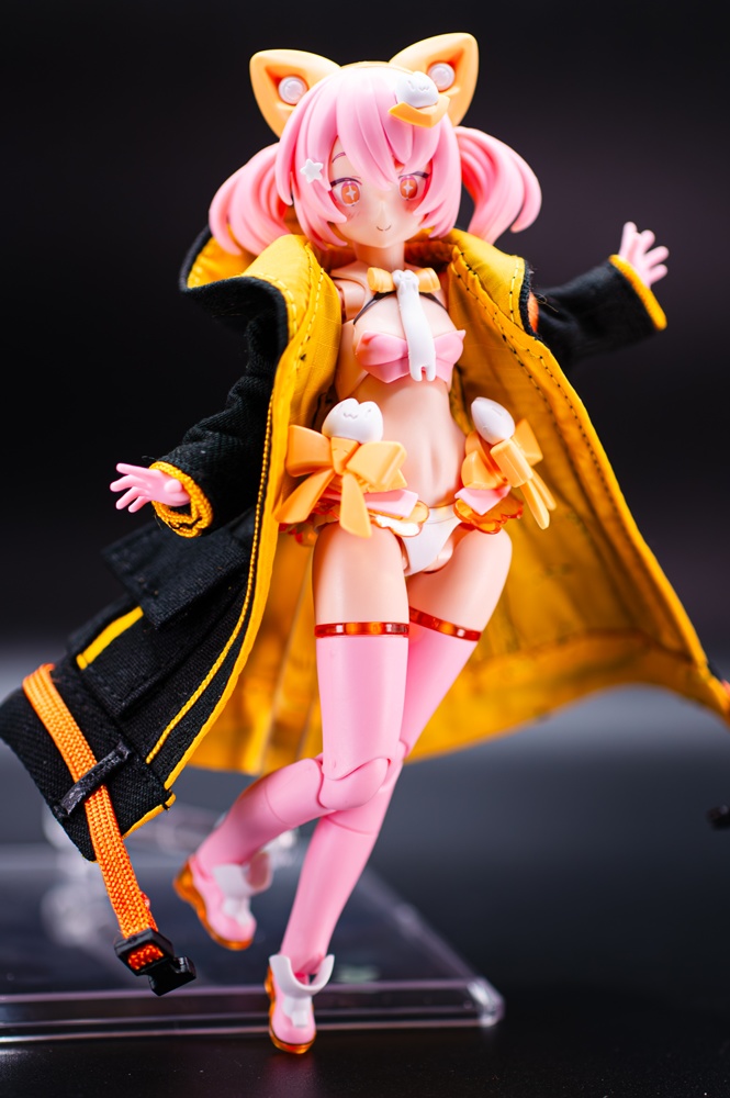 【1月予約】ストームコート