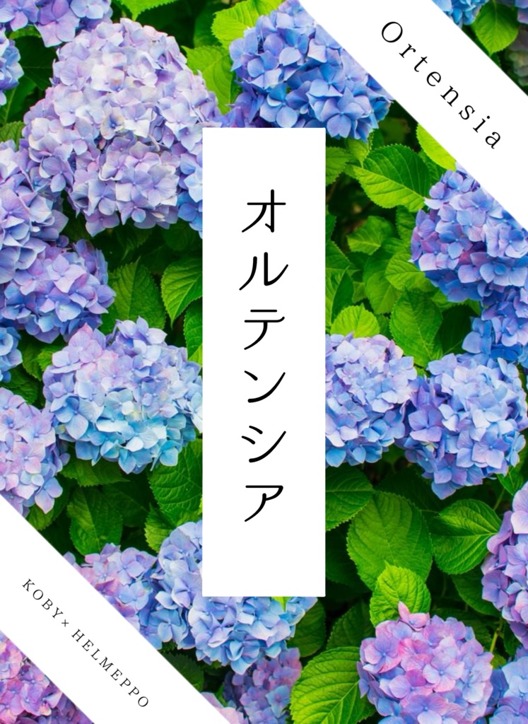 オルテンシア