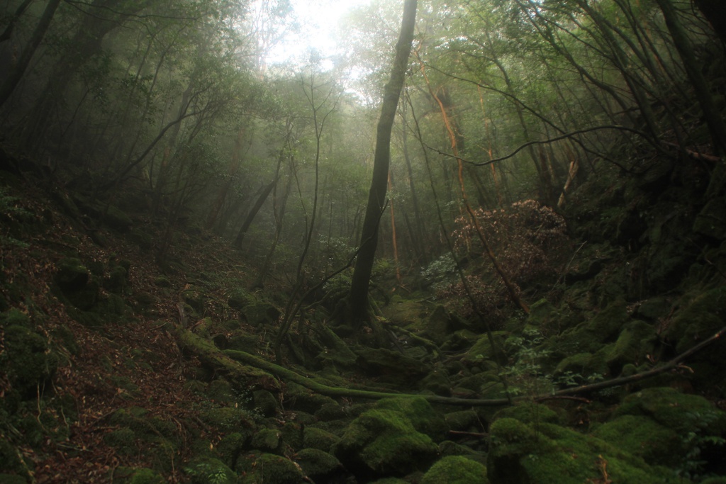 ふぉたろぐ!Ep4.「境界線」自転車旅写真集