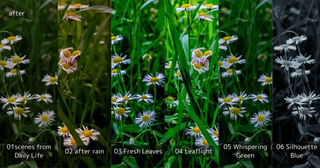 【写真用】Azure Drift - 夏の風景に映えるLightroomプリセット(6種セット)【DNG+XMP】