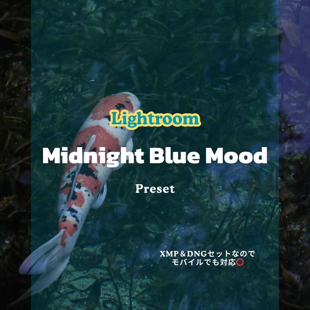 Lightroom用　MidnightBlueMood 【６色セット✨】