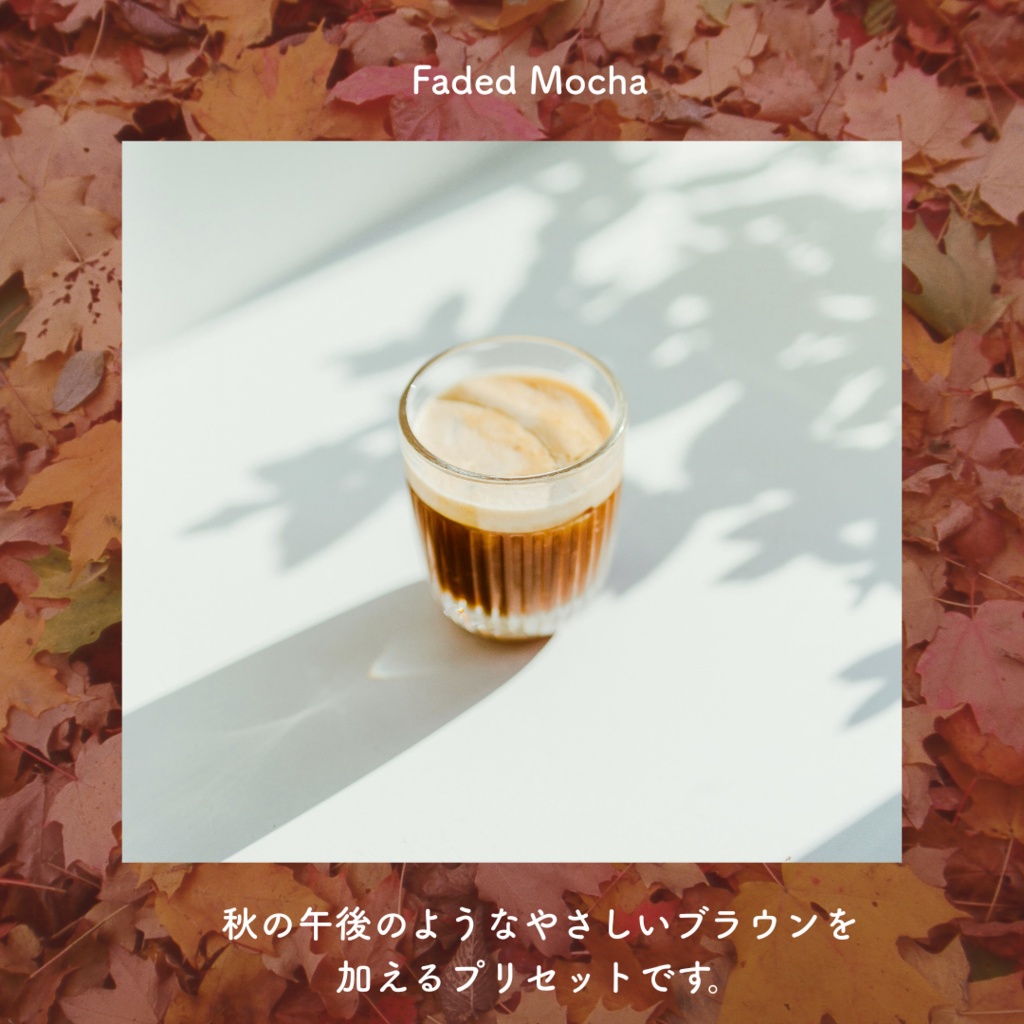 Lightroom preset 【Faded Moments(Warm Classic & Faded Mocha)】