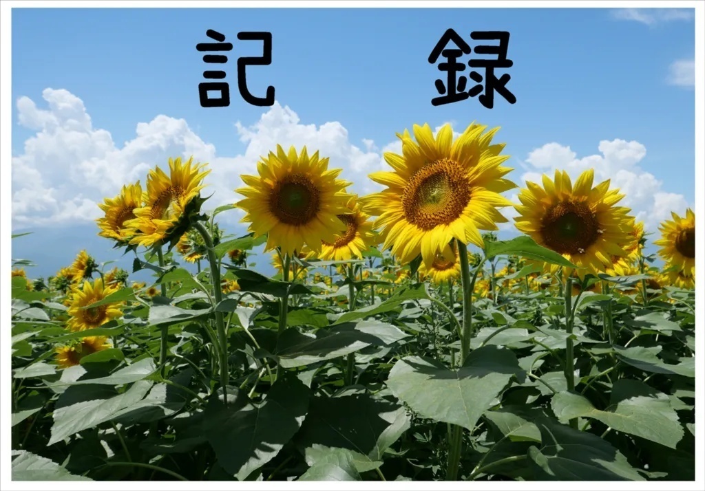 記録 C106新刊