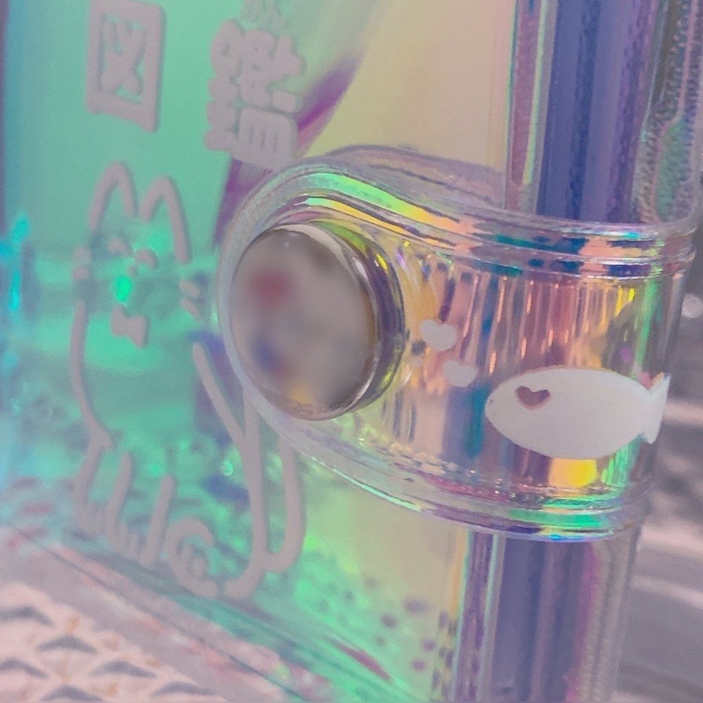 ねこちゃん図鑑