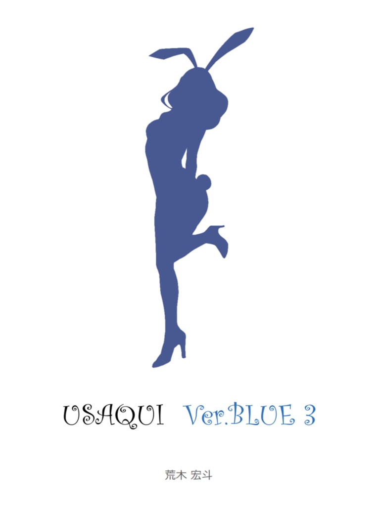 USAQUI ver.BLUE 3