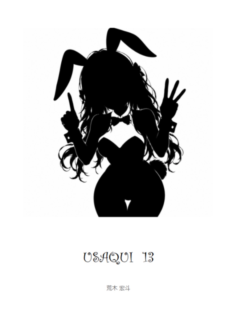 USAQUI13