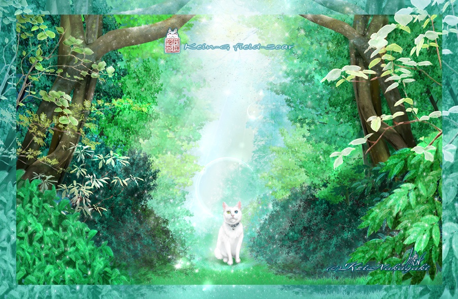 ICカードステッカー-光の森の白猫/夕空と仔猫たち