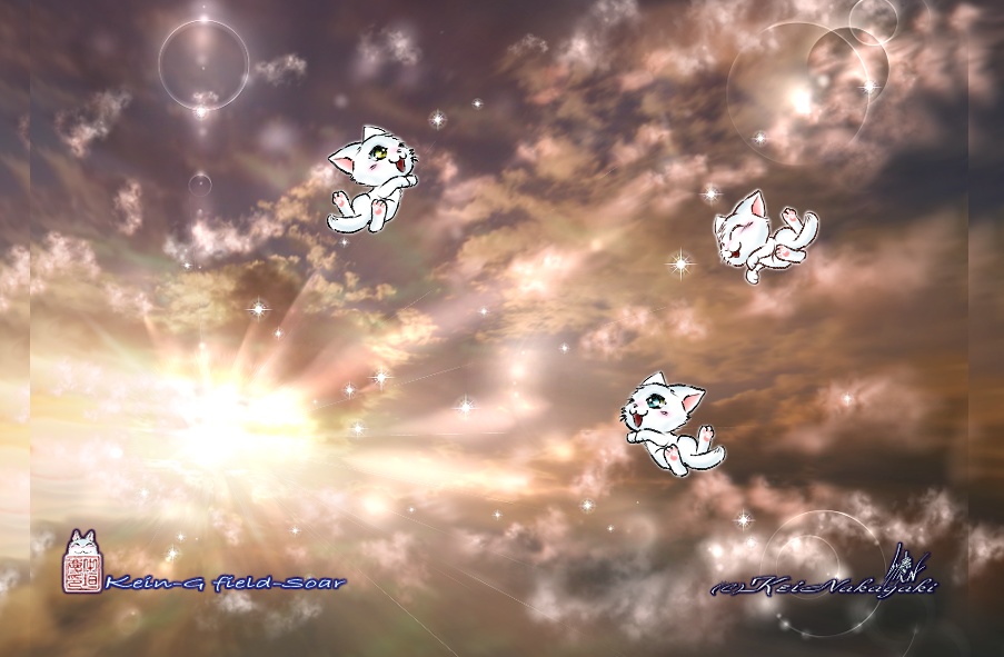 ICカードステッカー-光の森の白猫/夕空と仔猫たち