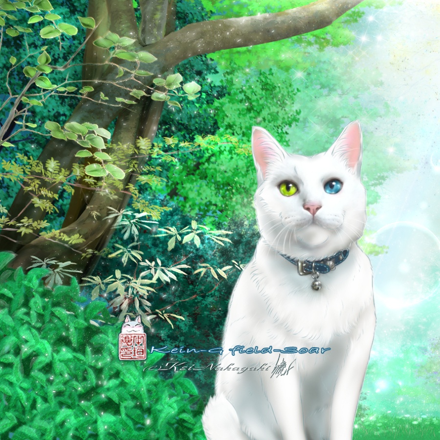 マスキングテープ30mm-光の森の白猫