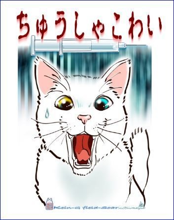 白Tシャツ-ちゅうしゃこわい白猫