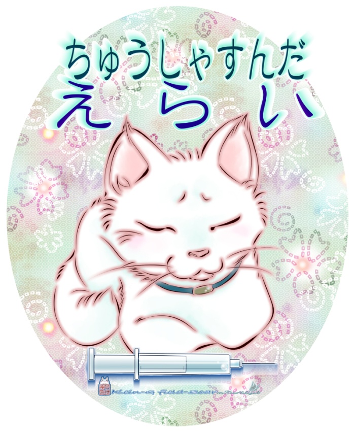 白Tシャツ-ちゅうしゃすんだ白猫