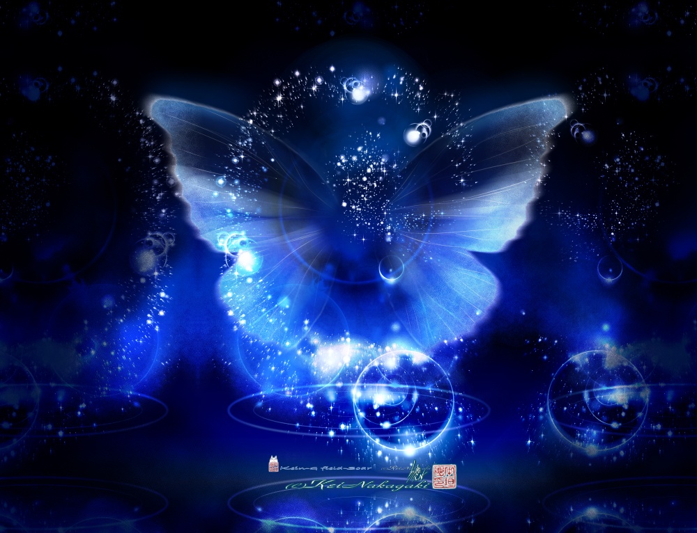 フルグラフィックT-L-眠る猫-魔法の軌跡と透ける蝶