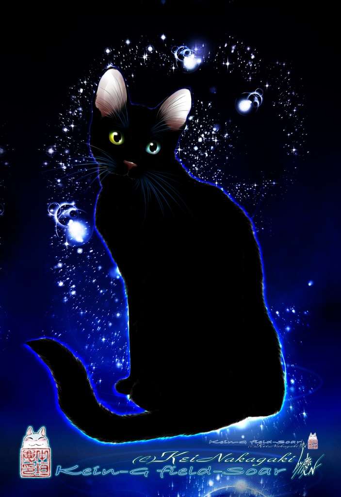 フルグラフィックT-L-リアル黒猫と光のフィボナッチ(背面ノアール)