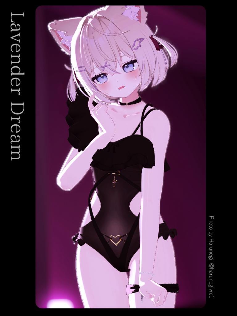 《 Lavender Dream 》