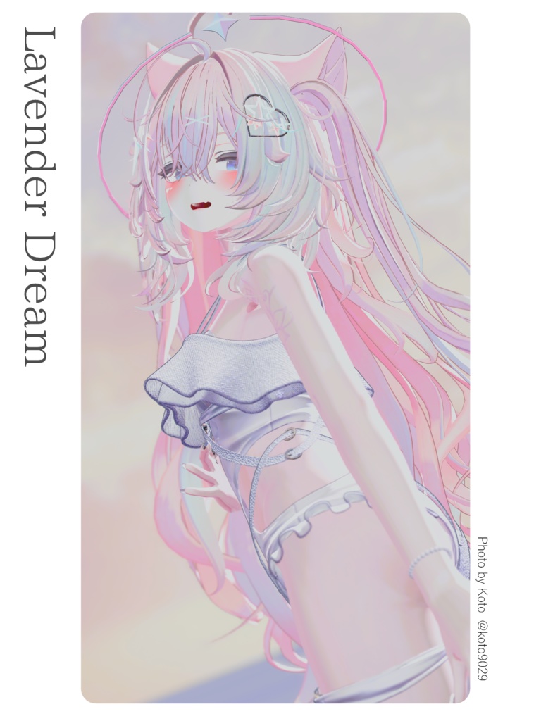 《 Lavender Dream 》