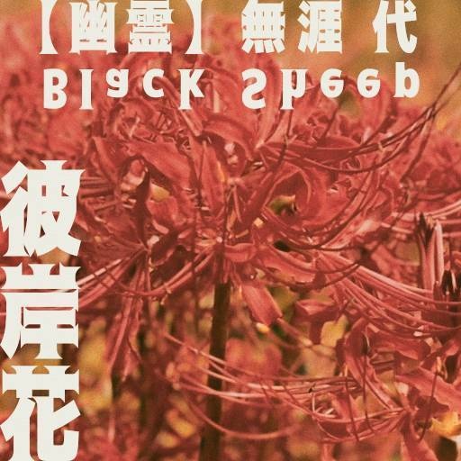 12th Single【彼岸花/Black Sheep】