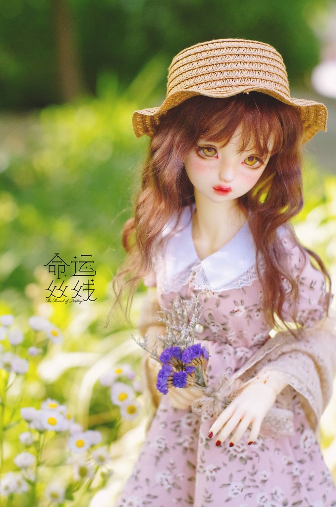 『命運絲線』 モヘア ウィッグ 栗棕色 BJD SD DD 厳選アンゴラウール製 ドール用