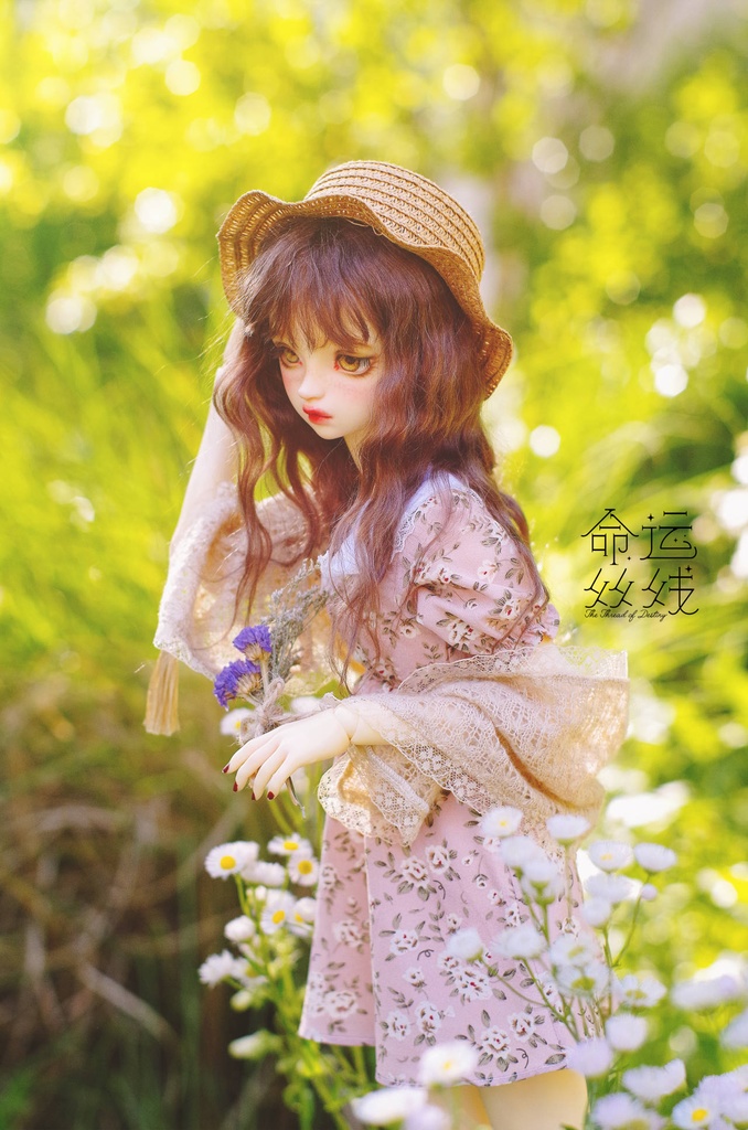 『命運絲線』 モヘア ウィッグ 栗棕色 BJD SD DD 厳選アンゴラウール製 ドール用