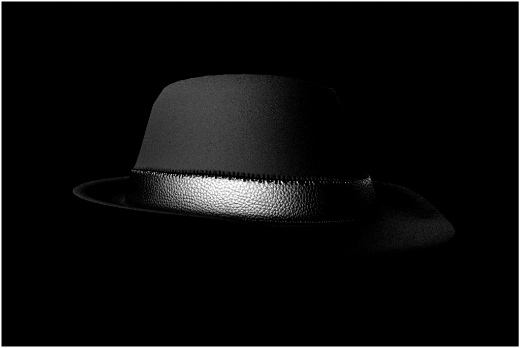 Lá Fedora, Hat for any vrchat avatar or 3D render