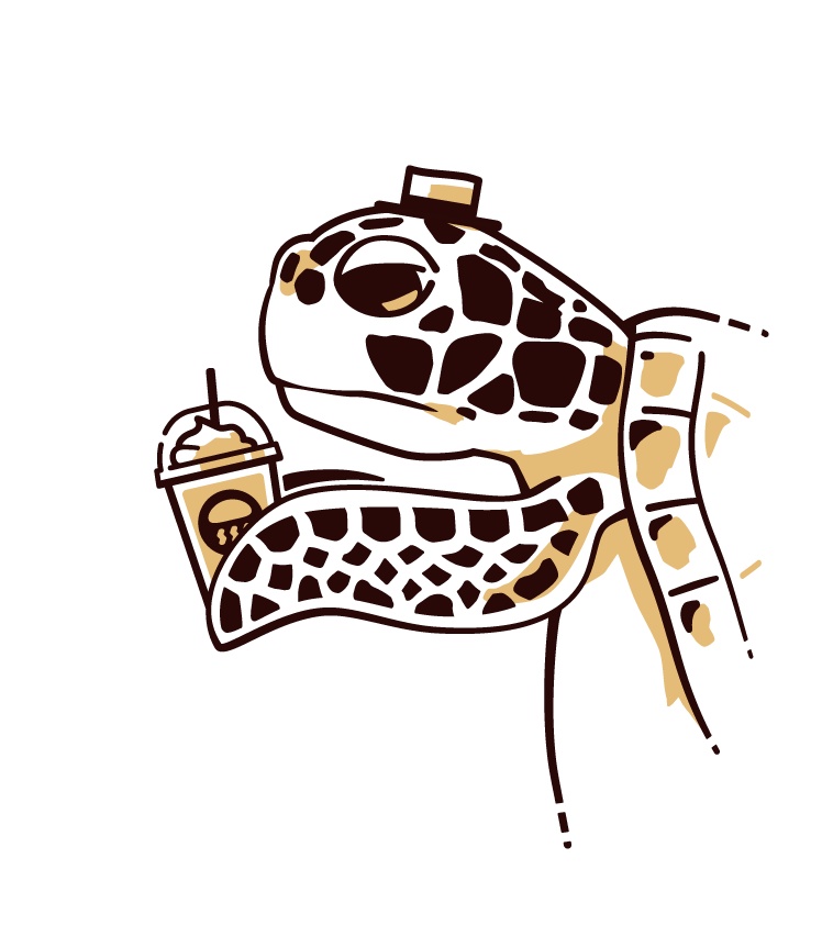 ウミガメTシャツ【赤】/ Turtle T-shirt【Red】