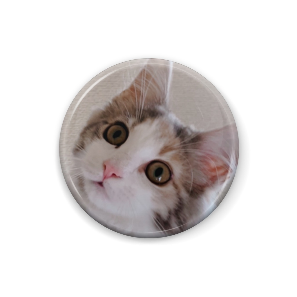 ねこバッチ　ノルウェージャンフォレストキャット　