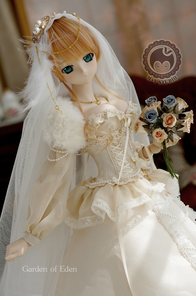 DD(L/寄せ胸)、DDdy、豪華ウェディングドレス11点セット