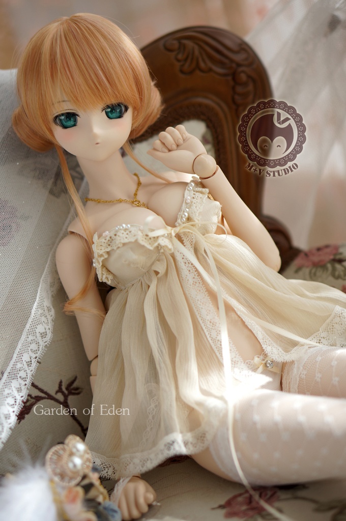 DD(L/寄せ胸)、DDdy、豪華ウェディングドレス11点セット