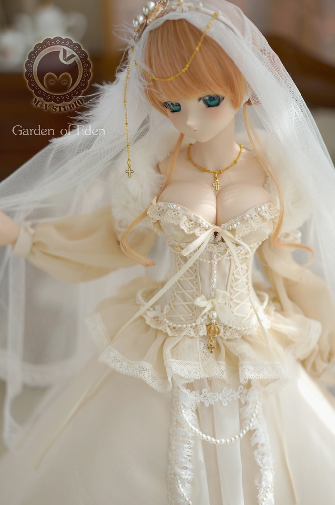 DD(L/寄せ胸)、DDdy、豪華ウェディングドレス11点セット