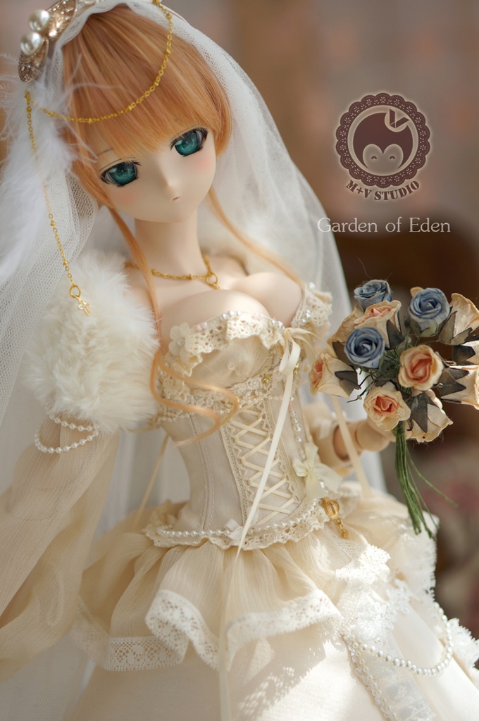 DD(L/寄せ胸)、DDdy、豪華ウェディングドレス11点セット