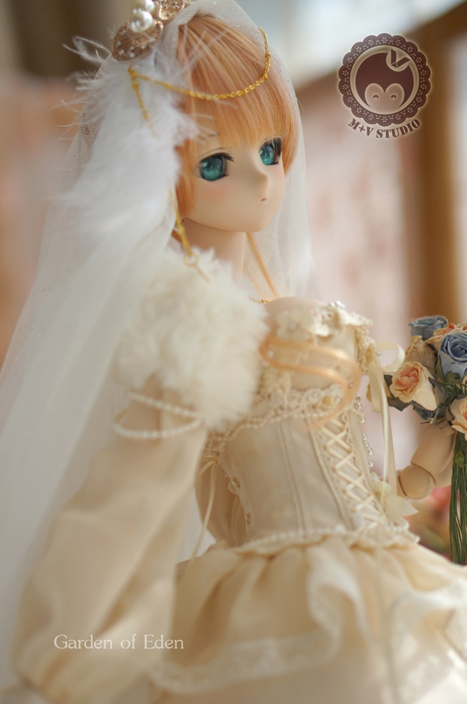 DD(L/寄せ胸)、DDdy、豪華ウェディングドレス11点セット