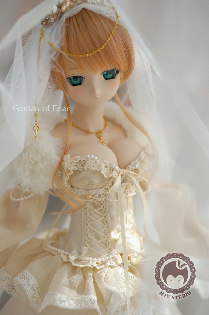 DD(L/寄せ胸)、DDdy、豪華ウェディングドレス11点セット