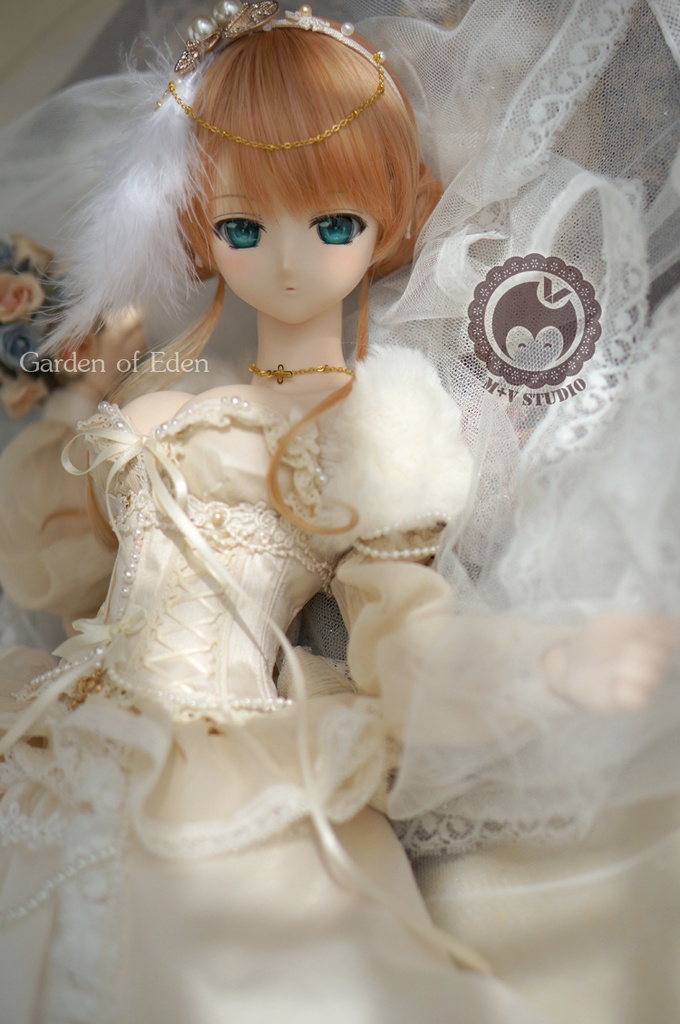 DD(L/寄せ胸)、DDdy、豪華ウェディングドレス11点セット