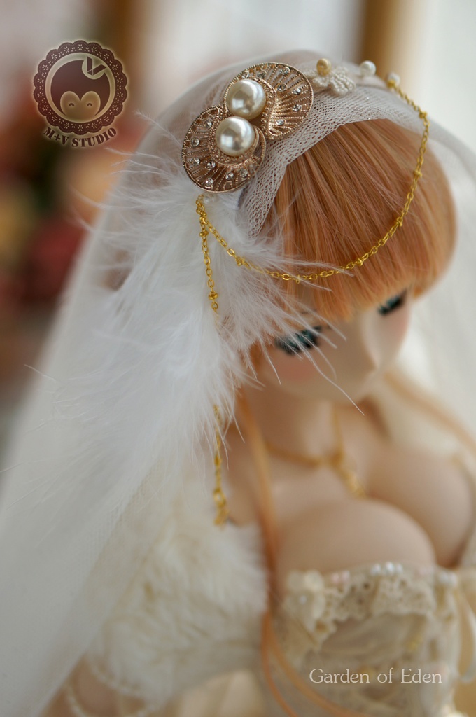 DD(L/寄せ胸)、DDdy、豪華ウェディングドレス11点セット