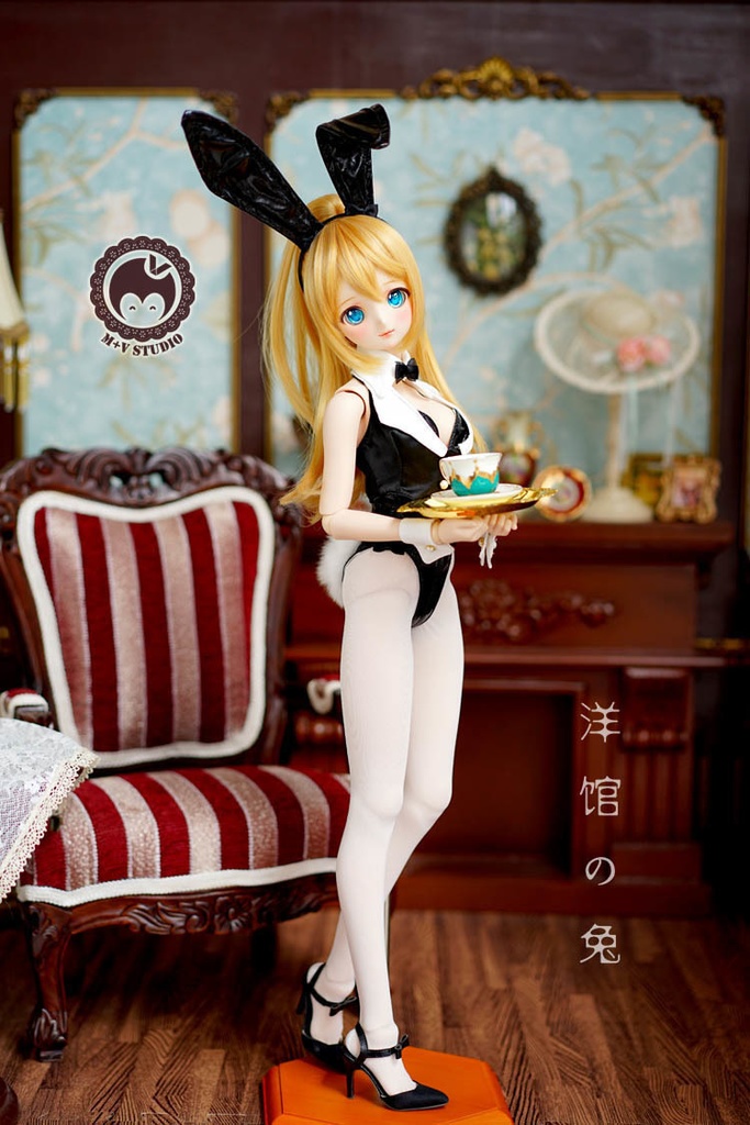 DDS (L/寄せ胸)、DD (L/寄せ胸)・セクシーバニーガールの6点セット