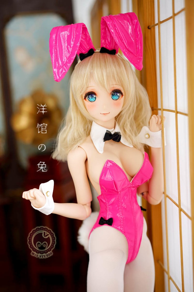 DDS (L/寄せ胸)、DD (L/寄せ胸).DDdy・セクシーバニーガールの6点セット