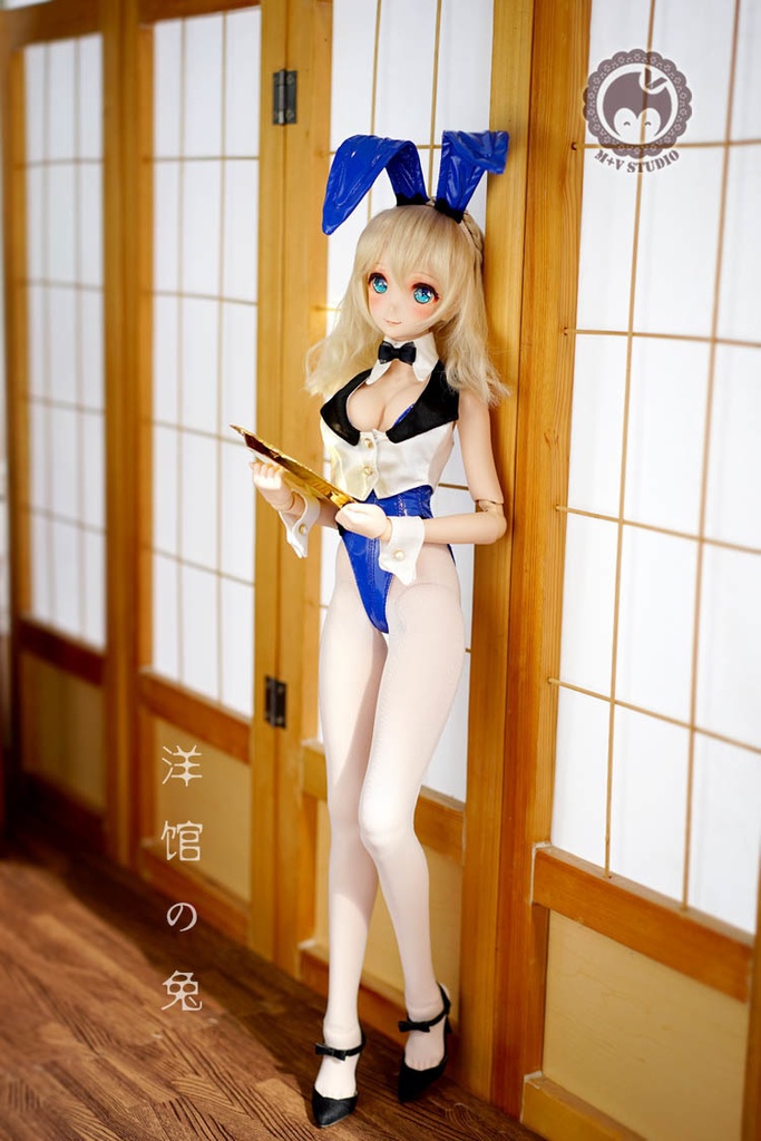 DDS (L/寄せ胸)、DD (L/寄せ胸).DDdy・セクシーバニーガールの6点セット