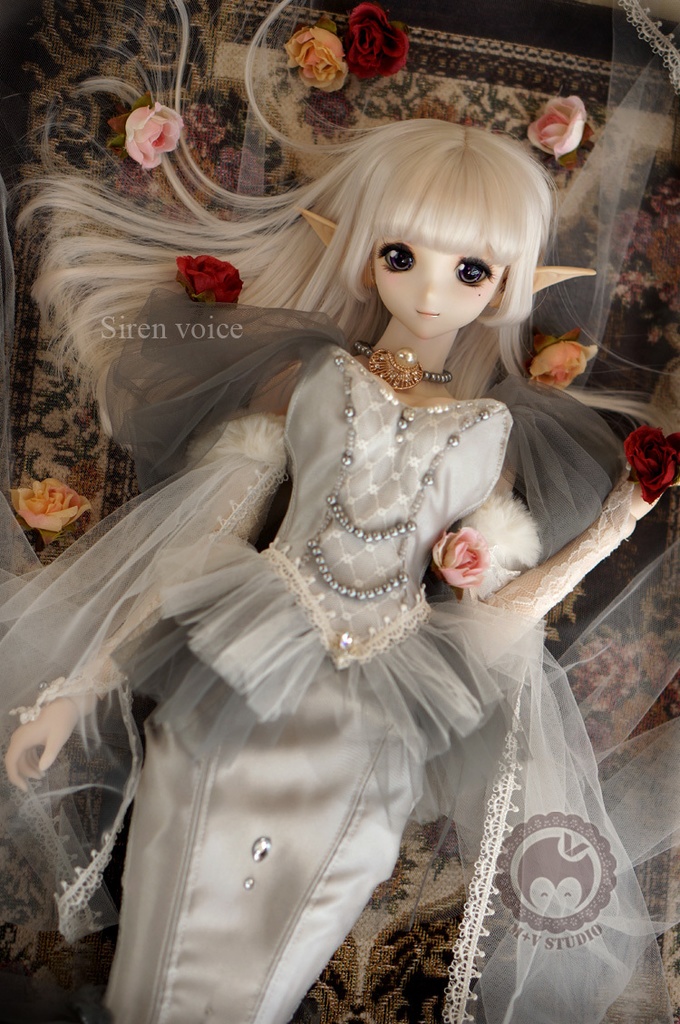 DDS(L/寄せ胸)、DD (L/寄せ胸)人魚姫ドレス7点セット