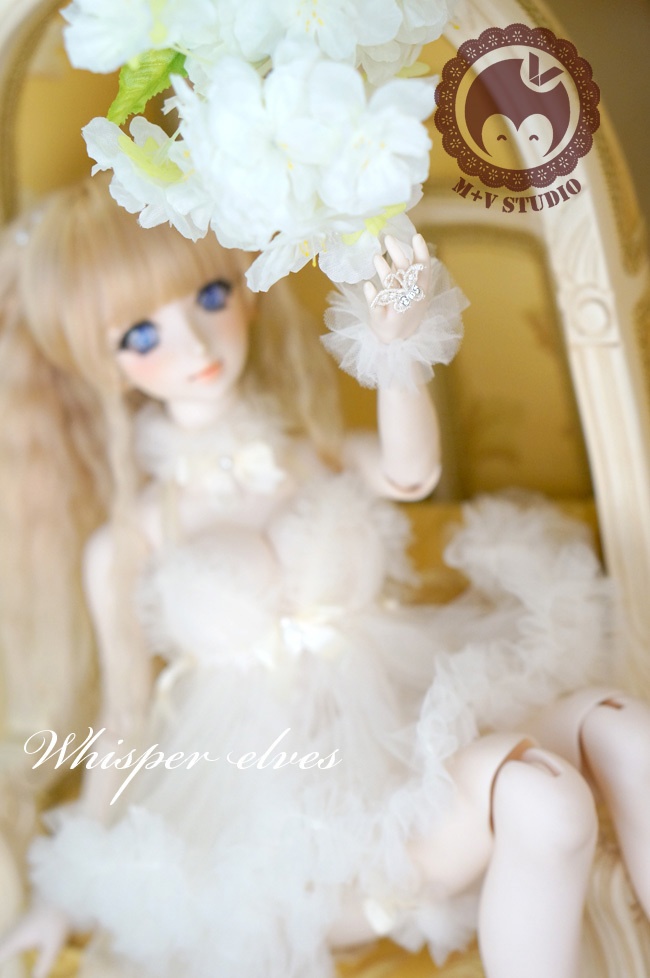 DDS、DD、DDdy、総レースベビードール6点セット