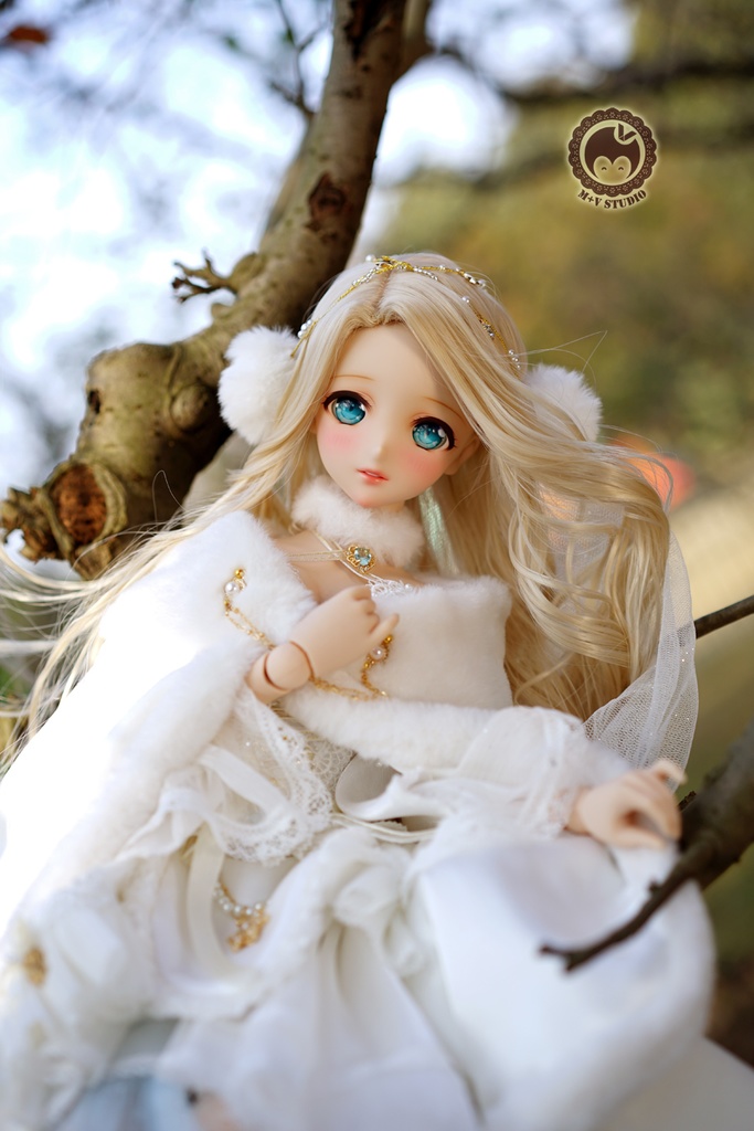 雪の王女★豪華ドレス11点セットlimited DD(L/寄せ胸)、DDdy(L/寄せ胸)