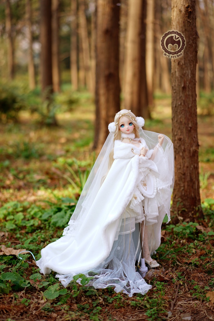 雪の王女★豪華ドレス11点セットlimited DD(L/寄せ胸)、DDdy(L/寄せ胸)