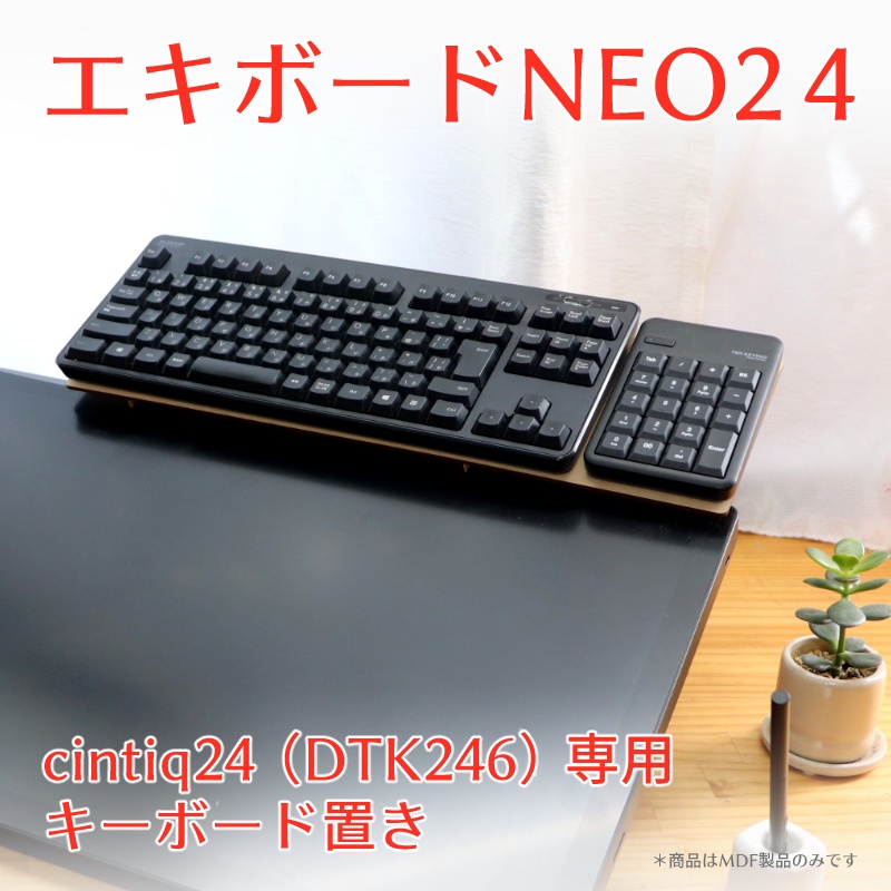 エキボードNEO24