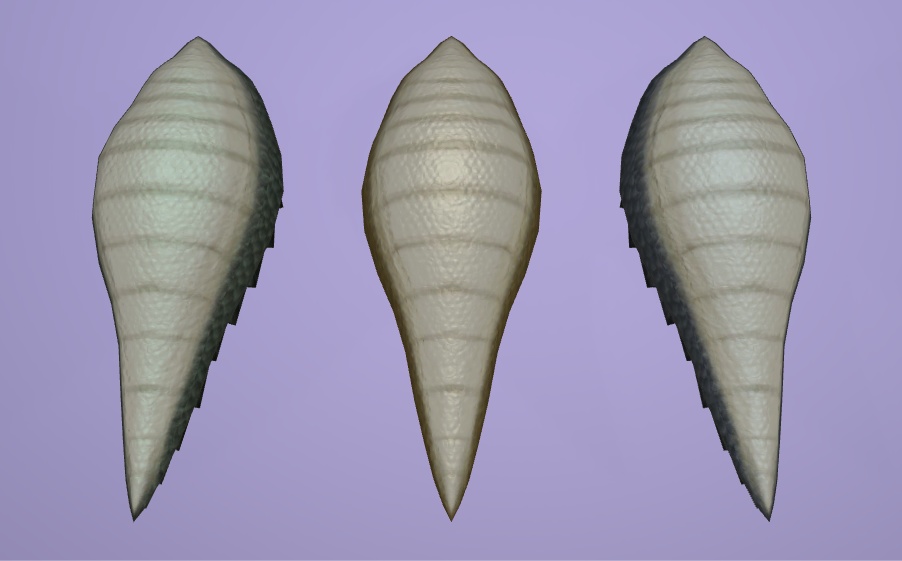 ドラゴンの尻尾_TypeH