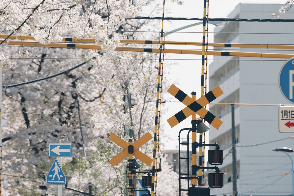 TRPG背景素材集【春】150枚