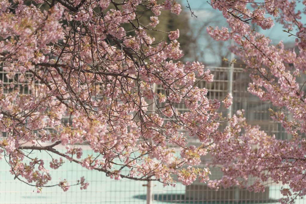 TRPG背景素材集【春】150枚